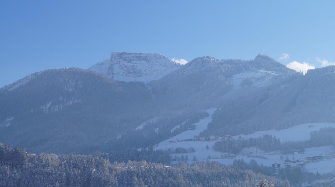 Krandlhof Apartment Zell am Ziller Ngoại thất bức ảnh