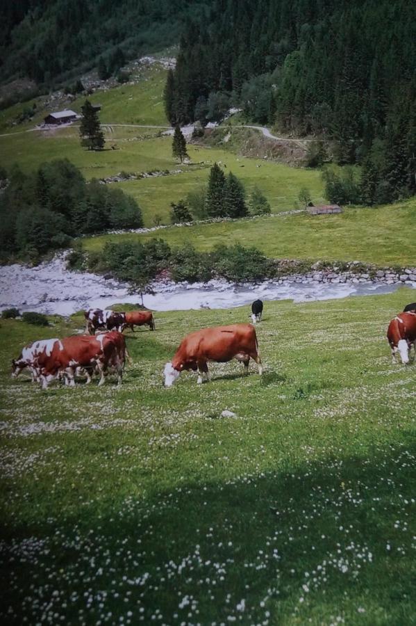 Krandlhof Apartment Zell am Ziller Ngoại thất bức ảnh