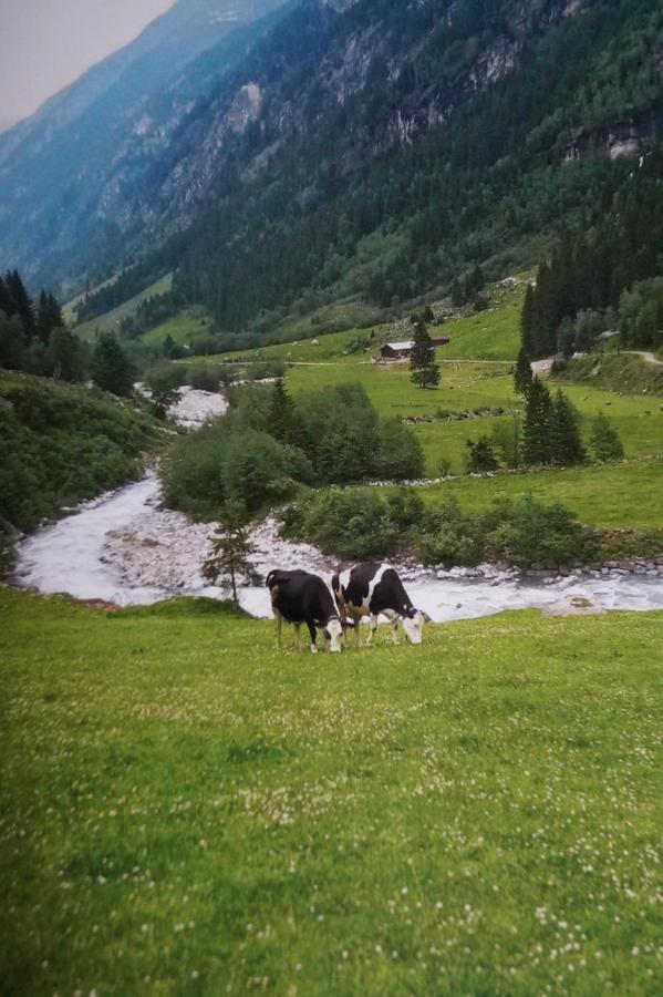 Krandlhof Apartment Zell am Ziller Ngoại thất bức ảnh